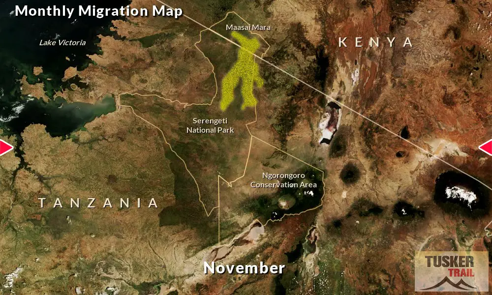 Great-Migration-Map-Tusker-Trail-11D-November