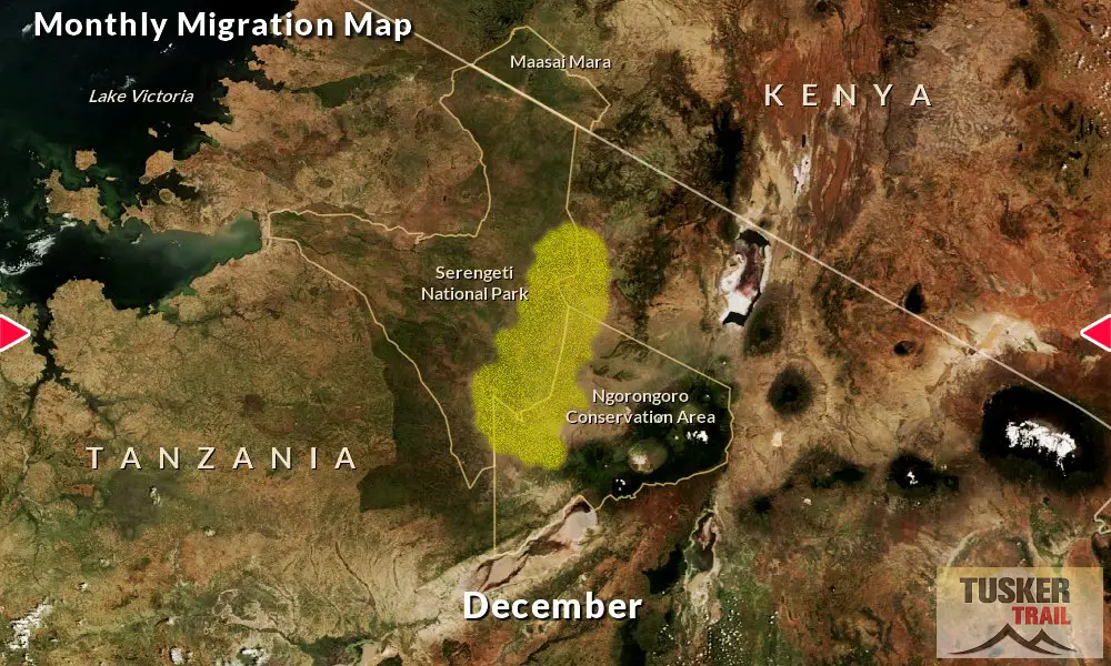 Great-Migration-Map-Tusker-Trail-12D-December