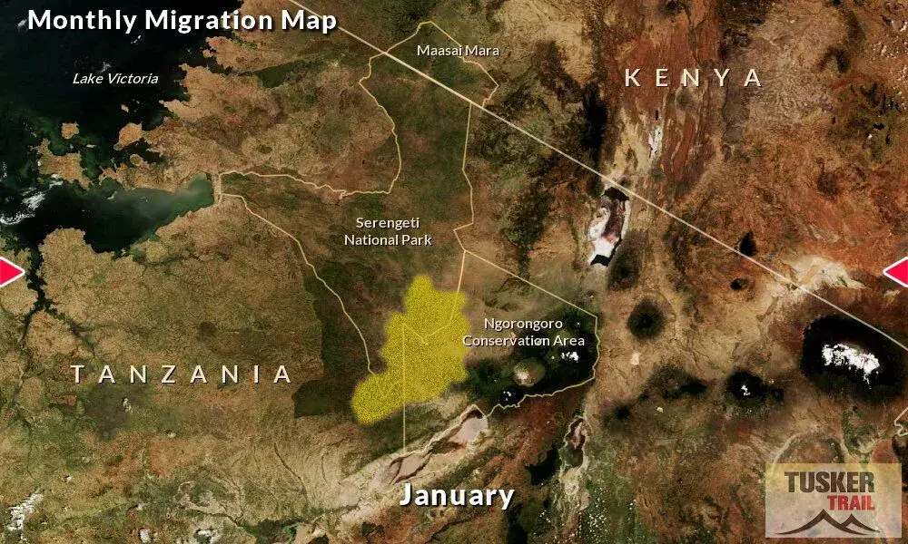 Great-Migration-Map-Tusker-Trail-1D-January1