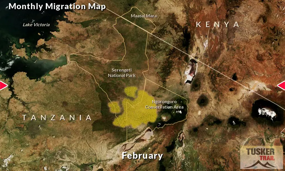 Great-Migration-Map-Tusker-Trail-2D-February