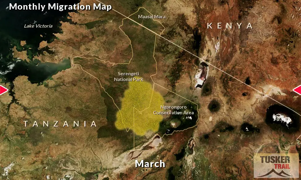 Great-Migration-Map-Tusker-Trail-3D-March