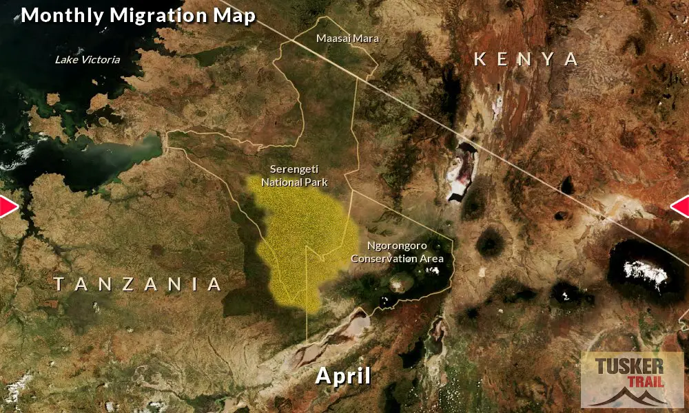 Great-Migration-Map-Tusker-Trail-4D-April