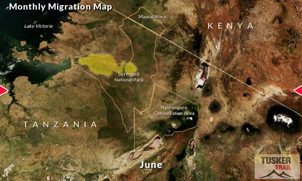 Great-Migration-Map-Tusker-Trail-6D-June