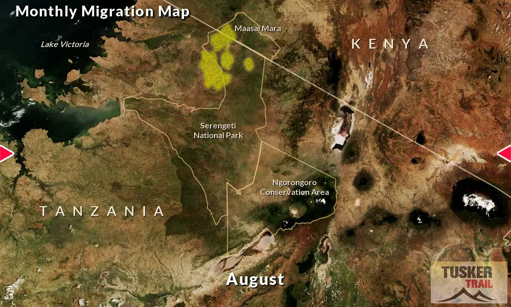 Great-Migration-Map-Tusker-Trail-8D-August