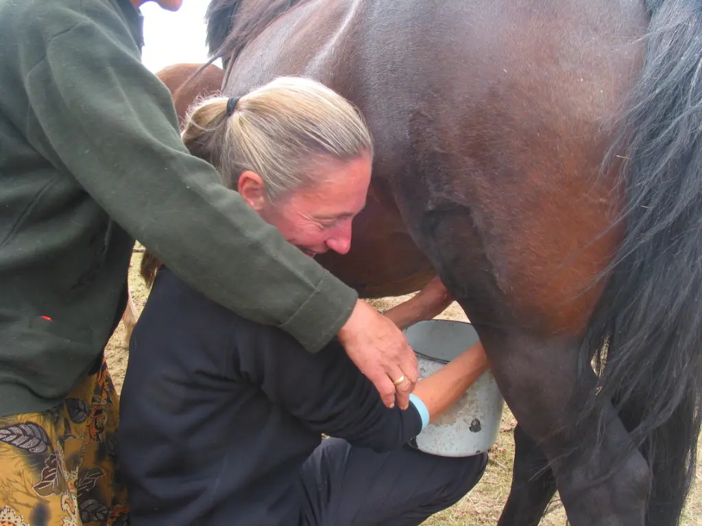 Tusker-Mongolia-Nomad-Trek-SLD-10